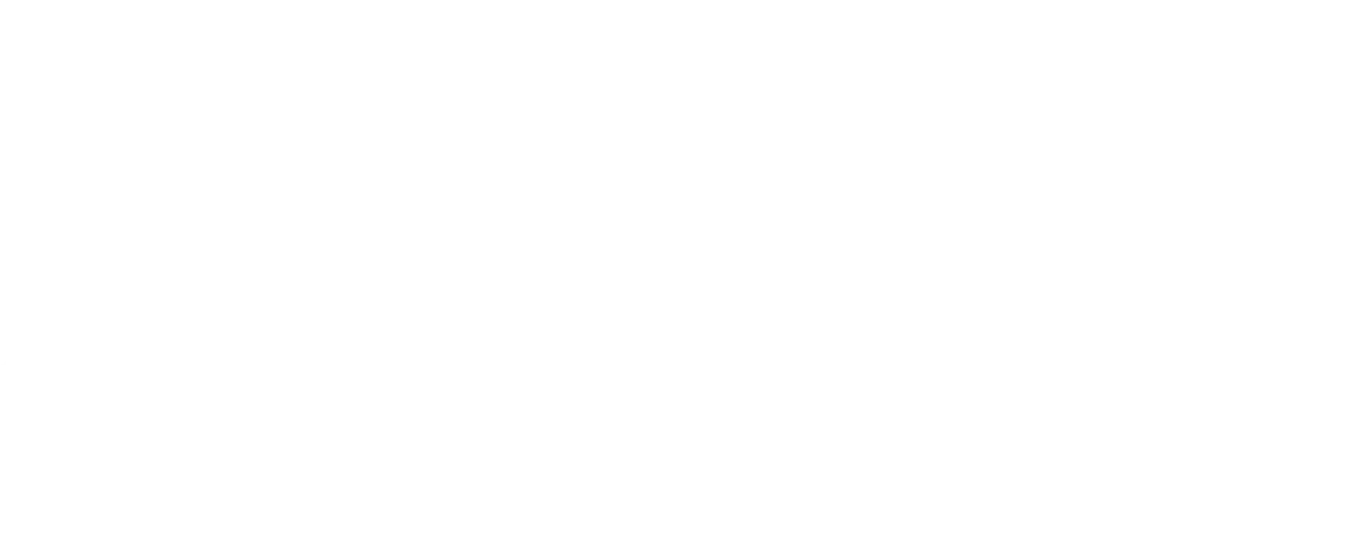 PCM — Partija crnogorskih Muslimana